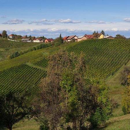 Spodnji Jakobski Dol Wine & Tourism Bracko B&B 외부 사진