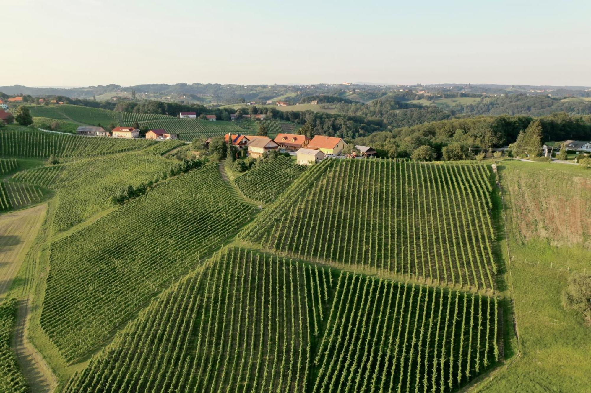 Spodnji Jakobski Dol Wine & Tourism Bracko B&B 외부 사진