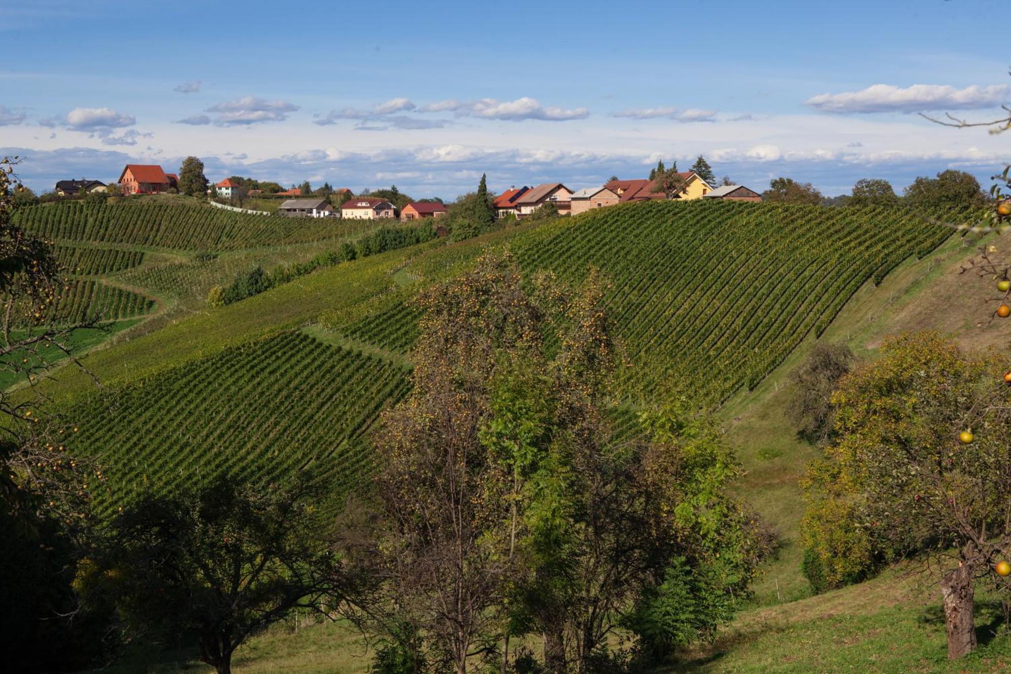 Spodnji Jakobski Dol Wine & Tourism Bracko B&B 외부 사진