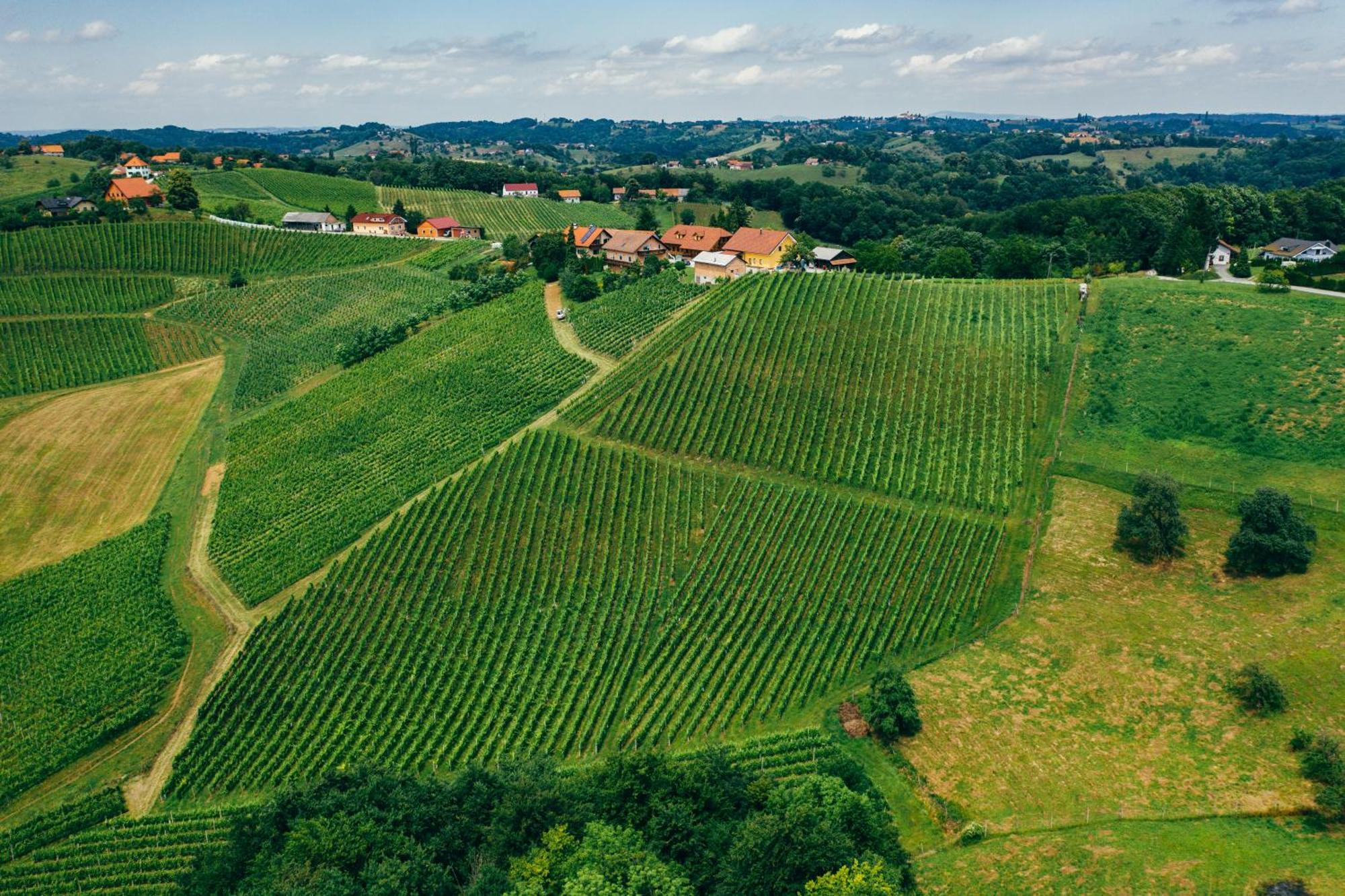 Spodnji Jakobski Dol Wine & Tourism Bracko B&B 외부 사진