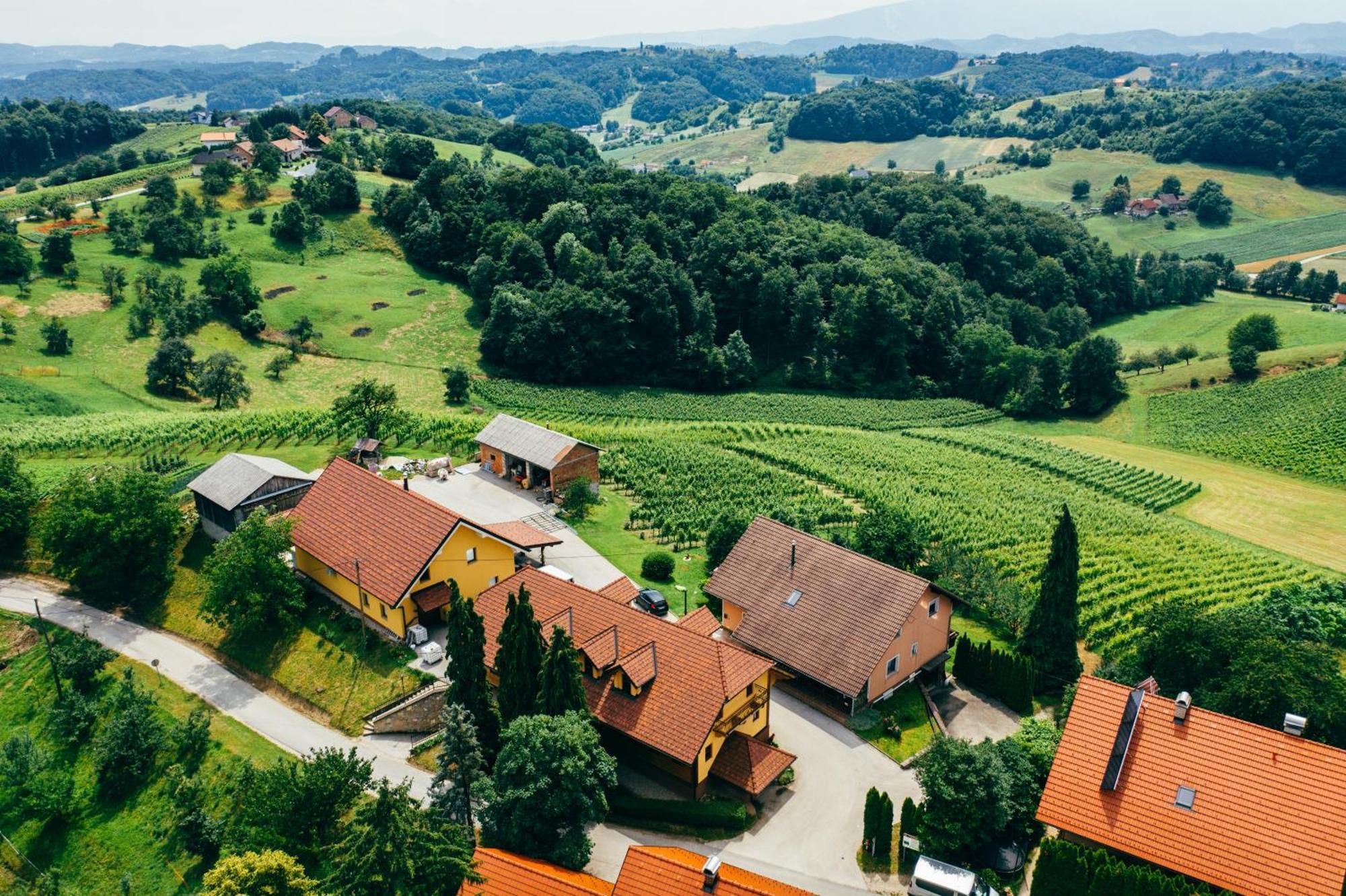 Spodnji Jakobski Dol Wine & Tourism Bracko B&B 외부 사진